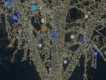 {{brizy_dc_image_alt entityId=