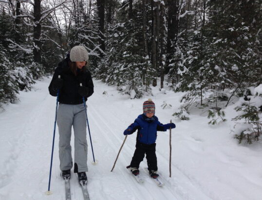 {{brizy_dc_image_alt entityId=