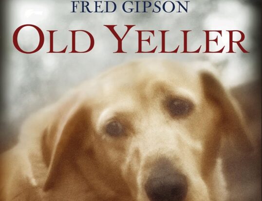 Old Yeller cover