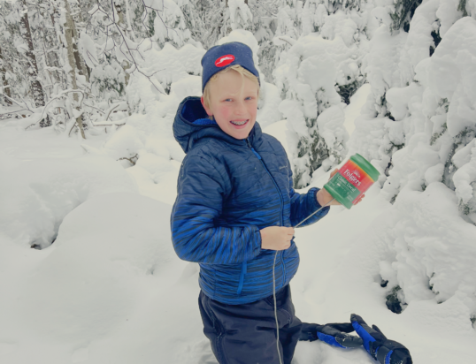 {{brizy_dc_image_alt entityId=